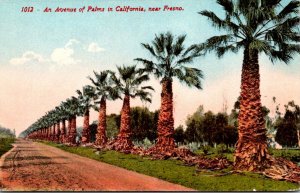 California An Avenue Of Palms Near Fresno