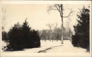 Hartford CT Connecticut Elizabeth Park in Winter c1910 Real Photo Postcard