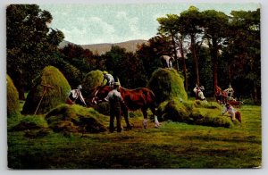 Farming Scene Horses Hay Agriculture Farmers Postcard E49
