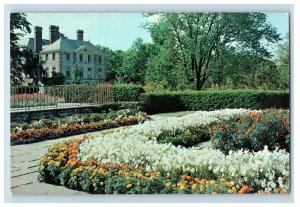 Vintage Petunia And Marigold - Kingwood Center, Mansfield, Ohio. Postcard P93E