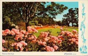 Victoria BC Beacon Hill Park Pink Flowers Unused WJ Gibbons Postcard G64