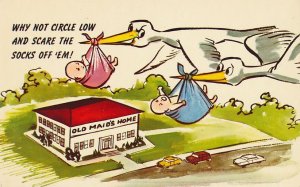 Why Not Circle Low and Scare Them - Humor - Storks Babies over Old Maid's Home