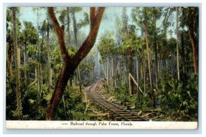 c1910 Railroad Through Palm Forest, Florida FL Posted Antique Postcard