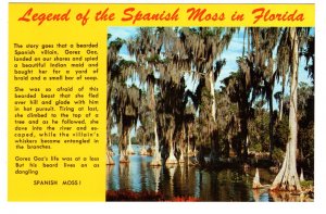 Legend of the Spanish Moss in Florida