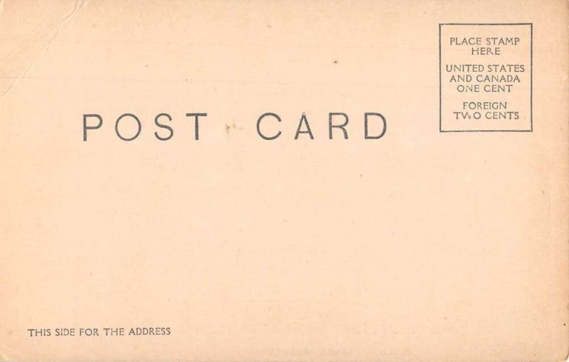 Coney Island New York Dreamland Fighting Flames Vintage Postcard AA17782