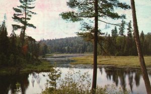 Vintage Postcard 1964 Fowler's Minnesabic Island Camp Kenora Ontario Canada CAN