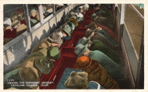 Vintage Postcard Viewing the Submarine Gardens Catalina Islands California CA