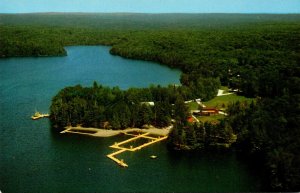 Canada Ontario Holburton Camp White Pine On Lake Placid