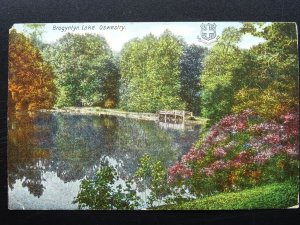 OSWESTRY Brogyntyn Lake shows Wooden Footbridge c1905 Postcard by J.W. Williams