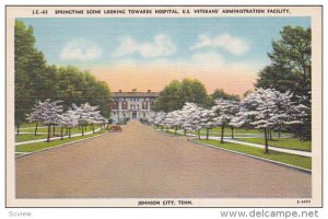 Springtime Scene looking towards Hopital, U. S. Veterans' Adminstration Facil...