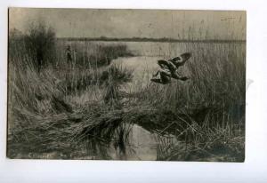 248946 Russia Stepanov in reeds duck HUNT Vintage postcard