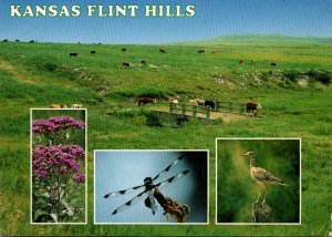 Kansas Flint Hills Panoramic Views