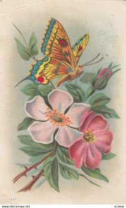 Butterfly & Flowers , 00-10s