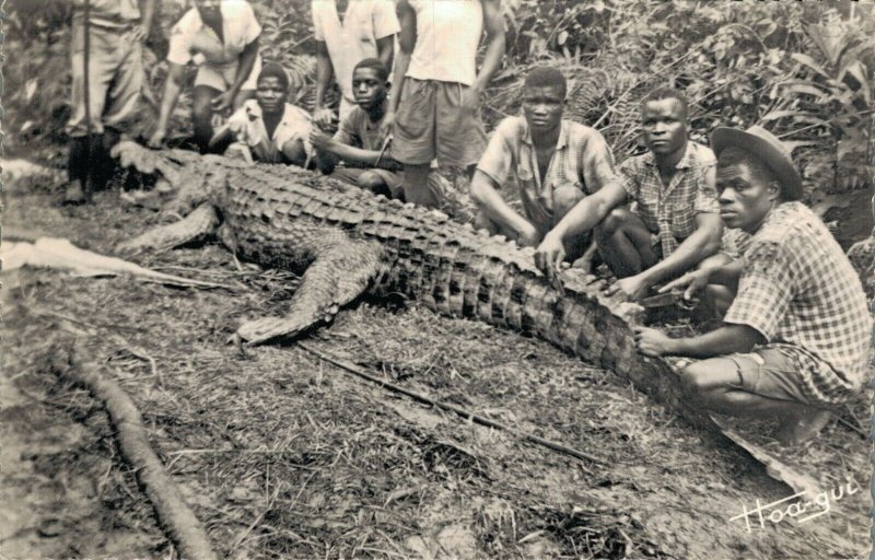 Africa Congo Caiman Man Eater RPPC 06.32