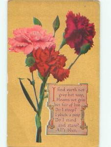 Divided-Back BEAUTIFUL FLOWERS SCENE Great Postcard AA3099