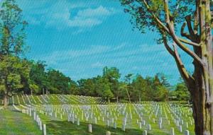 Arlington National Cemetery Washington DC