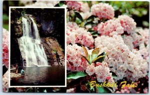 Postcard - Bushkill Falls, Pennsylvania, USA
