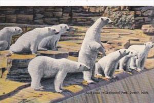 Michigan Detroit Polar Bear Dens In Zoological Park 1962