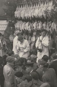 Dead Birds Meat at Smithfield Market BBC Rare London Postcard