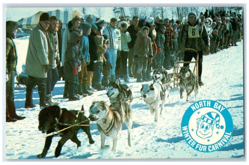 North Bay Winter Fur Carnival Sled Dog Winter Ontario Canada Vintage Postcard