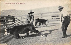 Roping Calves Cows Wyoming, USA Postal Used Unknown 