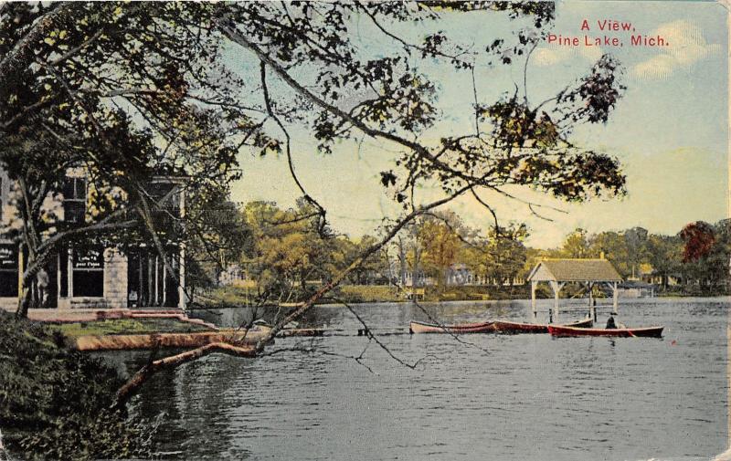 Pine Lake Michigan~Man in Boat~Pavilion on Dock~Window Signs on Stone House~1911
