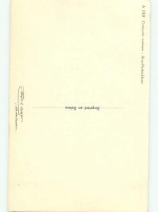 Very Old Foreign Postcard BEAUTIFUL FLOWERS SCENE AA4594