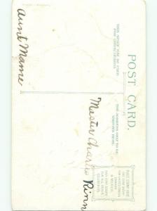 Divided-Back EASTER BUNNY RABBIT SCENE Cute Postcard AA1102