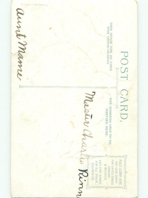 Divided-Back EASTER BUNNY RABBIT SCENE Cute Postcard AA1102