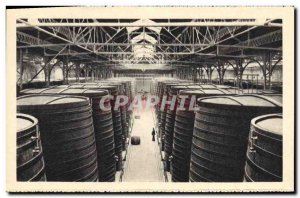 Old Postcard Advertisement Chais de Byrrh has Thuir Six rows of tanks