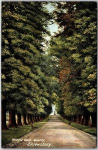 Middle Walk Quarry Shrewsbury England In Lined Trees Pathway Postcard