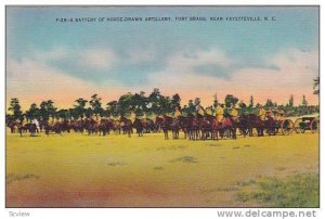 Battery Of Horse-Drawn Artillery, Fort Bragg, Near Fayetteville, North Caroli...