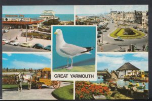 Norfolk Postcard - Views of Great Yarmouth - Seagull   T1892