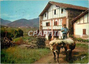 Postcard Modern Colors and Light of The Basque Country Farm France and Basque...