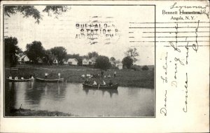 Angola New York Bennett Homestead Park c1900-20s Vintage Postcard