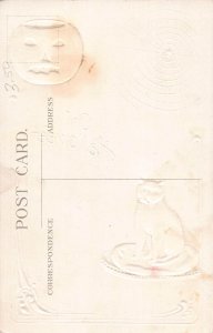 J87/ Halloween Postcard c1910 H18 Jack-O-Lantern Cat Spider Web 81