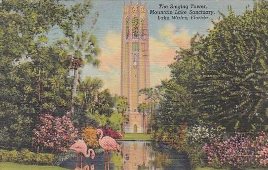 Florida Lake Wales The Singing Towerr Mountain Lake Sanctuary 1946