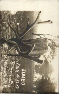 Washingtonville PA Billmeyers Park Jumbo Kinf Elks c1910 Real Photo Postcard