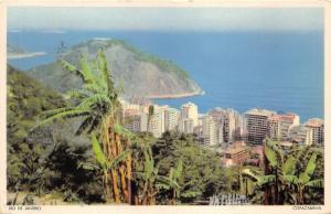 Rio De Janeiro Brazil View from Hillside~Skyscrapers by Ocean~Banana Trees~Pc
