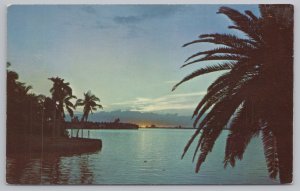 State View~Peaceful Tropical Lagoon @ Miami Beach Florida~Vintage Postcard