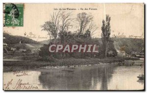 Old Postcard Isla de los Iie Pheasants Pheasants