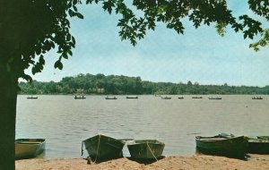 Vintage Postcard The Fish Are Biting Inland Lakes Michigan MI Pub. By Avery