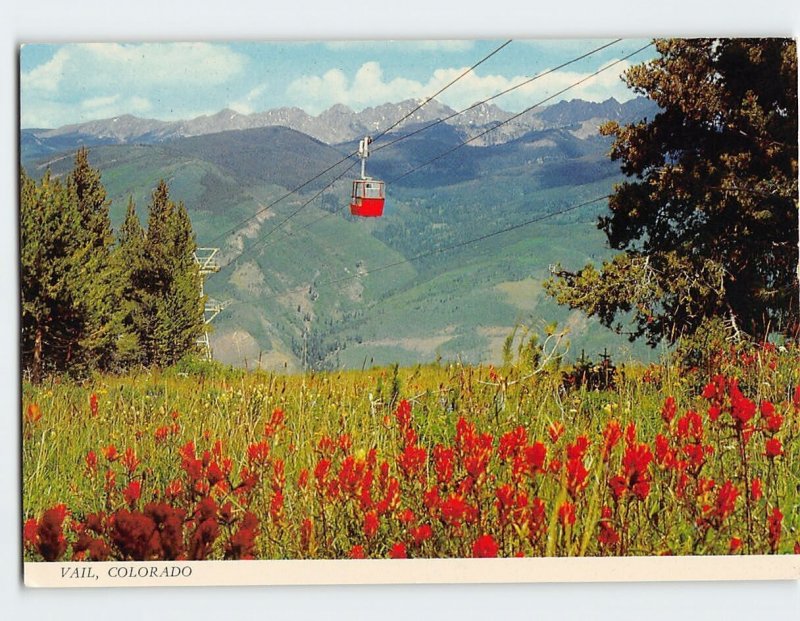 Postcard Lions Head Gondola & Indian Paintbrush Vail Colorado USA
