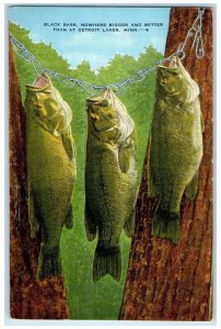 1938 Black Bass Nowhere Bigger Better Detroit Lakes Minnesota Vintage Postcard