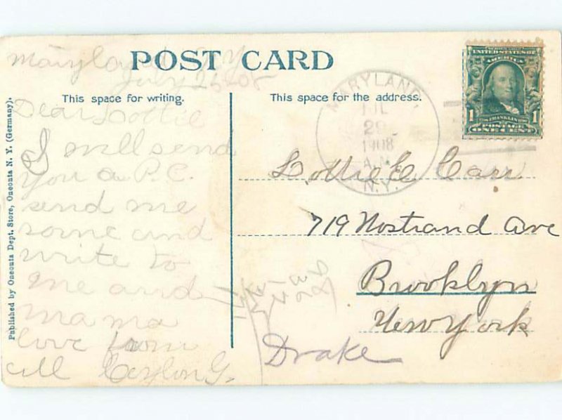 Divided-back LAKE SCENE Oneonta New York NY AE4914