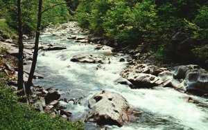 Vintage Postcard Little River Great Smoky Mountains National Park Tennessee #73