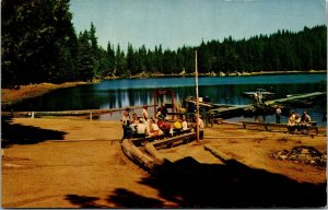 Vtg California Camp Sequoia Lake YMCA Boys Kings Canyon National Park Postcard