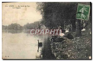 Old Postcard Lyon the edge of Lake Les Cygnes