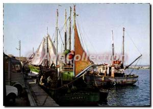 Postcard Modern fishing boats in the port of Camaret