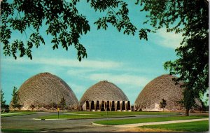 Vtg Milwaukee Wisconsin WI Horicultural Conservatory 1960s View Postcard